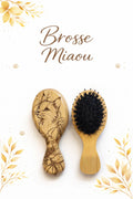 Petite brosse Miaou Lilylook